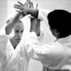 Traditional Aikido of Sarasota gallery