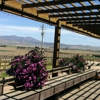 Paraiso Vineyards gallery