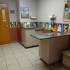 Blackbob Pet Hospital gallery