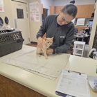 VCA Eads Animal Hospital