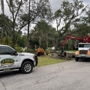 Arbor Bay Tree Service