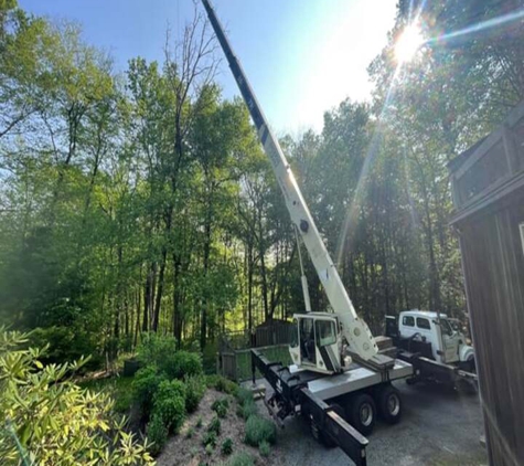 Jeovany's Tree Service