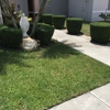 Medina's Landscaping & Lawn service gallery