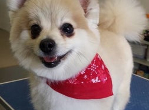 Wonderful Pets Grooming - Manville, NJ