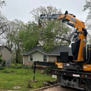 A1 Tree Removal - Tree Service