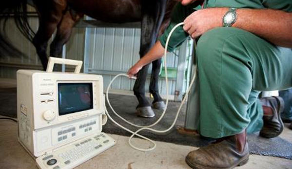 Allora Veterinary Clinic - Allora, QLD