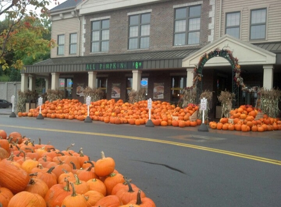 Wegmans - Rochester, NY