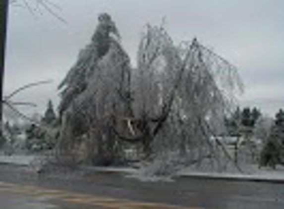 Payne County Tree Service - Stillwater, OK