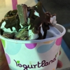 YogurtLand gallery