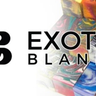 Exotic Blanks