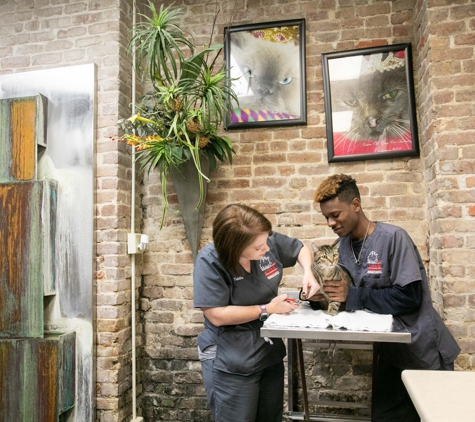 The Cat Practice Veterinary Hospital - New Orleans, LA