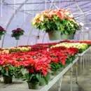 Frey's Greenhouse - Garden Centers