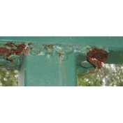 Gallery Image Number 2