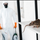 Ridtechs Pest Solutions