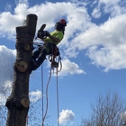 Tree Tech NW