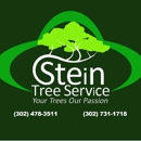 Stein Tree - Tree Service