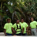 Florida's Finest Tree and Lawn Service LLC - Arborists
