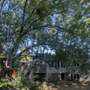 Trees by Forrest | Tree Removal Company in Plymouth, MN - Tree Service