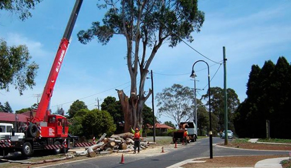 Drouin Tree Services - Drouin, VIC