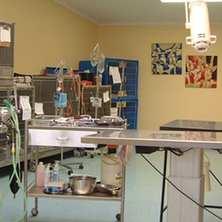 Blayney Veterinary Hospital - Blayney, NSW