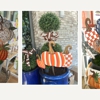 Daniel Island Living & Home gallery