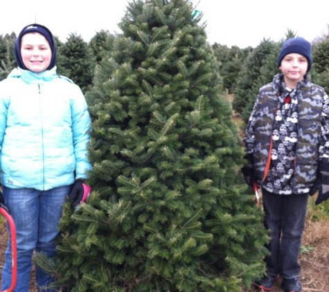 Pine Tree Barn - Wooster, OH