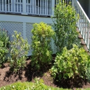 AA Tree & Shrub Service - Nurseries-Plants & Trees