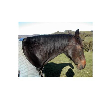 Hooves Paws & Claws - St Agnes, SA