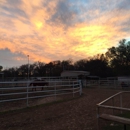 Roark's Stables - Horse Boarding