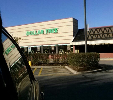 Dollar Tree - Chicago, IL