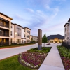 Alexan Magnolia Apartments gallery