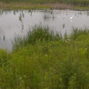 Air Station Prairie Tyner Center - Nature Centers