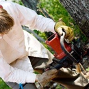 Volunteer Tree  Service LLC - Stump Removal & Grinding