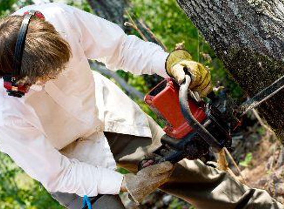 Volunteer Tree  Service LLC - Crossville, TN