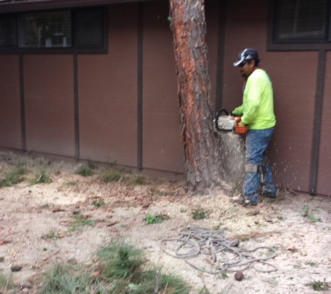 Ghai's Tree Services & Landscaping - Costa Mesa, CA