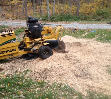 C & E Stump Removal Svc - Bozrah, CT