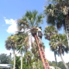 Redwine's Tree Service LLC gallery