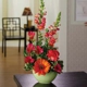 Dandelion Floral & Gifts