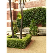 Gallery Image Number 6