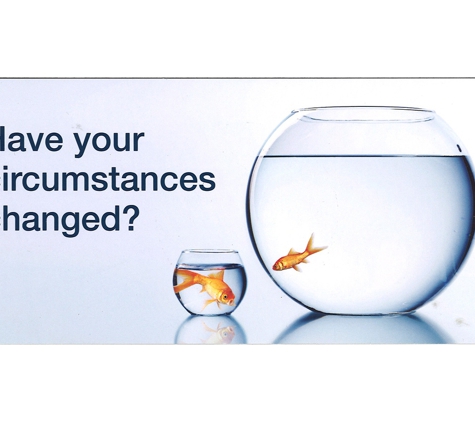 Modoras Financial Performance Solutions - Upper Mount Gravatt, QLD