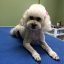 Crystals Dog Spa - Pet Grooming