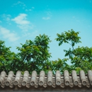Nova Roofing & Siding - Roofing Contractors