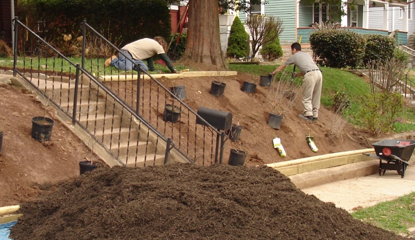 Blackwood Landscaping and Lawn Care - Asheville, NC