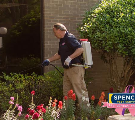 Rocket Pest Control - Greenville, SC