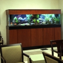 Affordable Aquarium Service - Aquariums & Aquarium Supplies