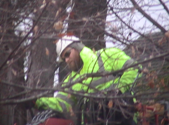 All American Tree Service - Red Creek, NY. Carmen from All American Tree Service