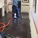 Pro Steam Carpet Cleaning, Upholstery & Water Damage - Carpet & Rug Cleaners
