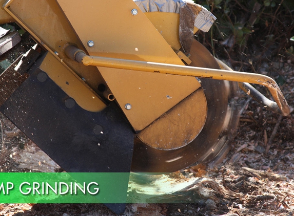 Accurate Tree Service - Mount Rankin, NSW. Stump Grinding