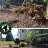 Full Circle Stump Grinding & Tree gallery