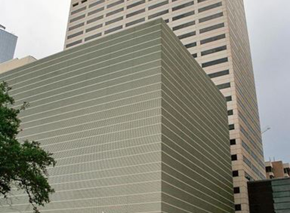 Texas Children's Maternal Fetal Medicine, The Methodist Hospital - Houston, TX